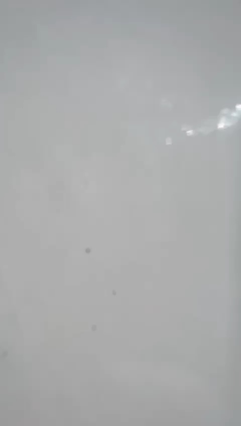 Chantier Roucas - Photo 139